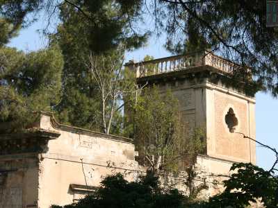 Foto 7b. Ci� che riusciamo a scorgere tra la folta vegetazione � la cima di un fabbricato su cui si innalza una torretta in pietra 
